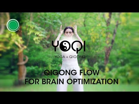 Qigong Flow For Brain Optimization